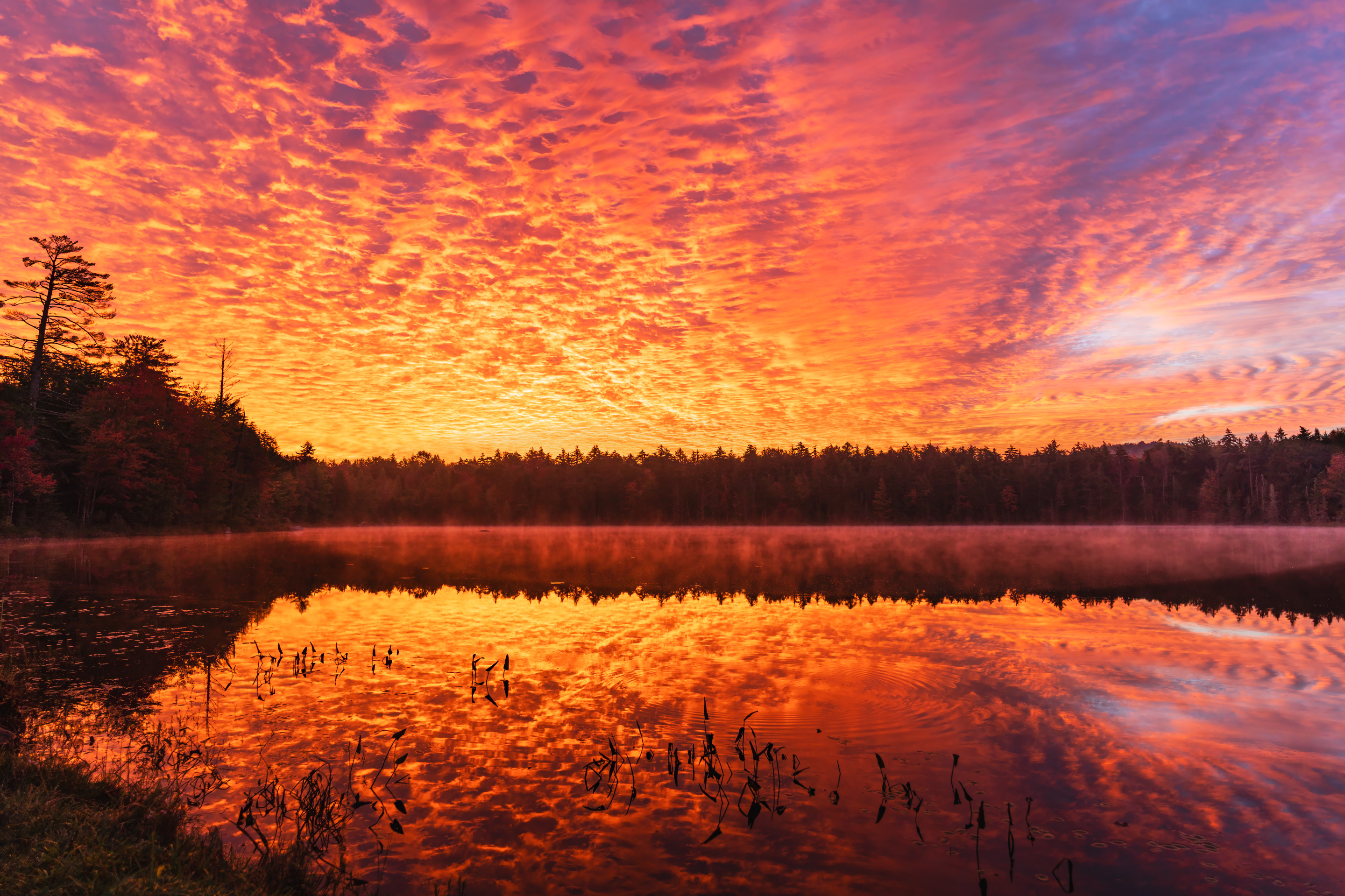 3rd PrizeMulti-Scape In Class 3 By Debbie Blair For Quiver Pond Sunrise NOV-2024.jpg